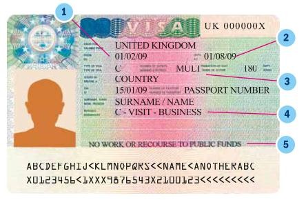 fac simile visto.jpg